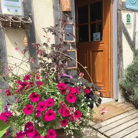 L'escale Doree * Giffaumont-Champaubert